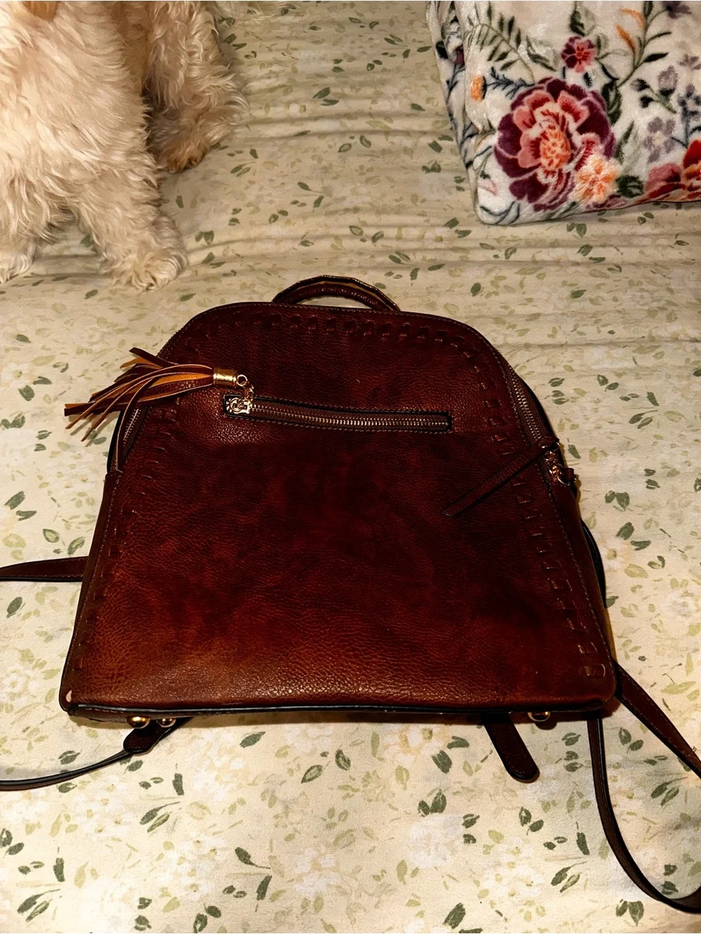 Women's Brown Leather Backpack Purse - Classic Tassel Accent